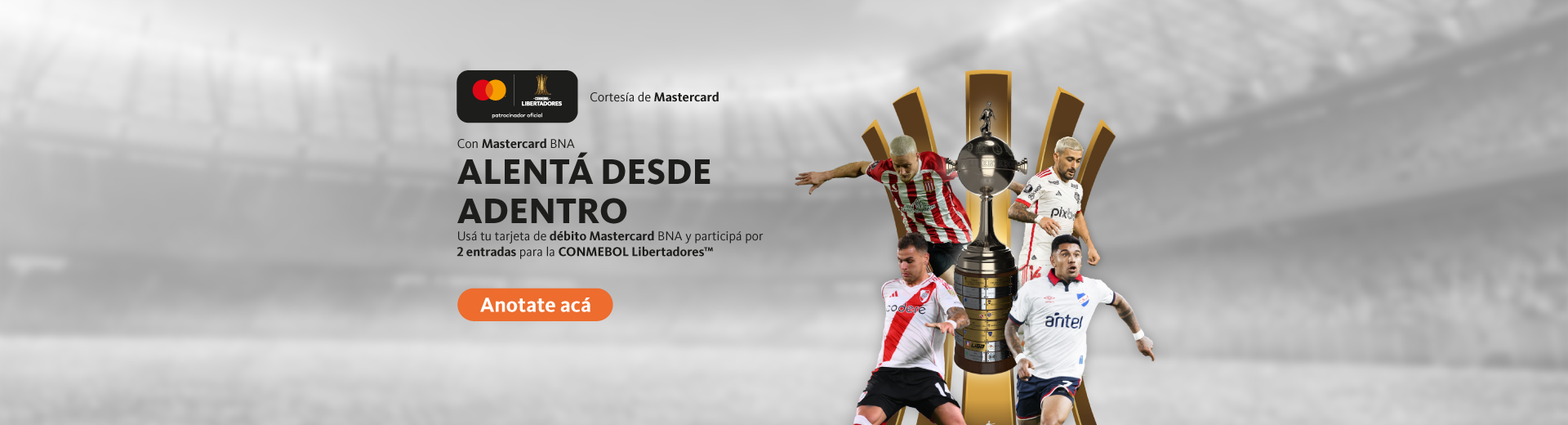Copa libertadores